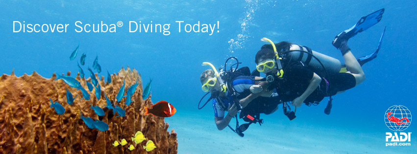 Introduik – Discover scuba diving 09-12-2026